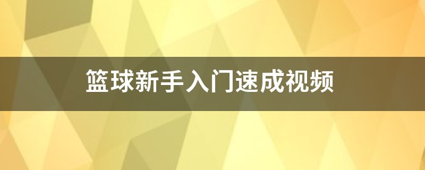 新手篮球每天训练教程视频下载